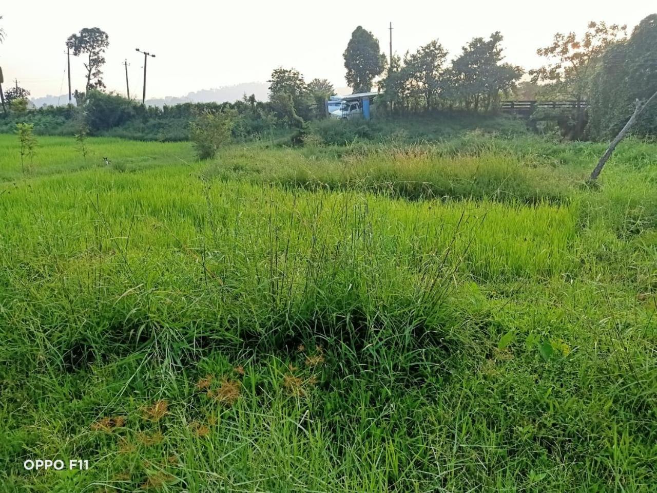 Samz Estate Stay 2Bhk Madikeri Eksteriør billede